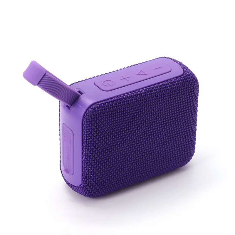 FLS-294 Speaker-Purple.jpg